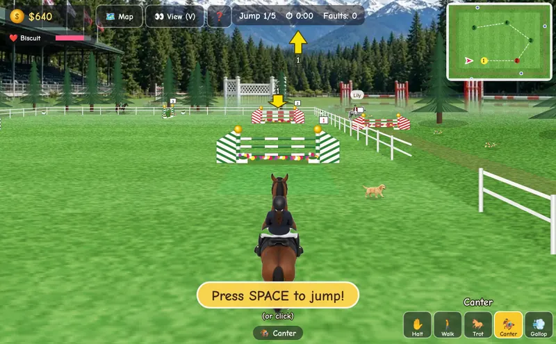 Jumping in the show ring